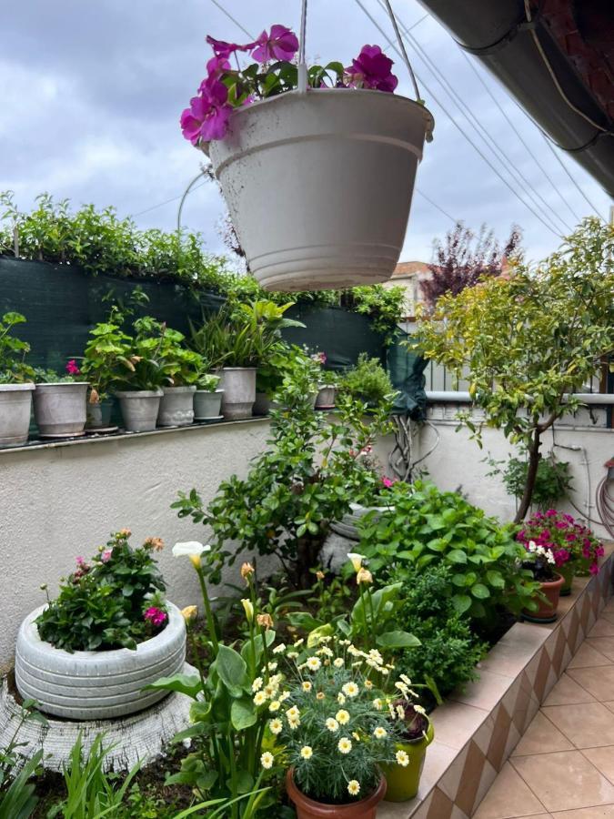 Goni Guest House Saranda Zewnętrze zdjęcie